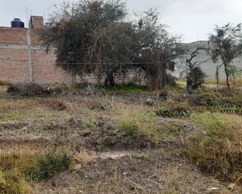 Lote Laureles – San Miguel de Allende real estate photo 3