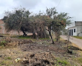 Lote Laureles – San Miguel de Allende real estate photo 1
