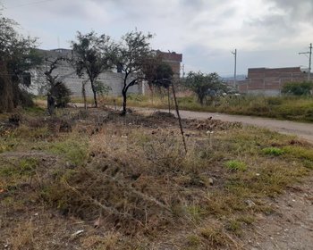 Lote Laureles – San Miguel de Allende real estate photo 2