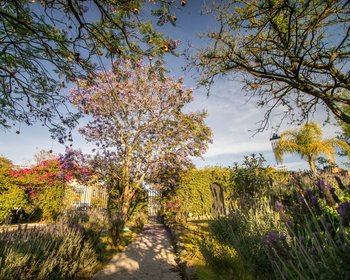 AltaVista Lot 17 – 969 m² | Boutique Gated Community Near Centro – San Miguel de Allende real estate photo 3