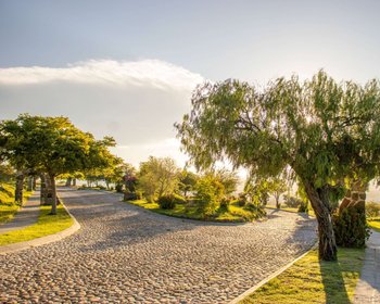 AltaVista Lot 15 – 1,168 m² | Luxury Lot in Eco-Conscious Community – San Miguel de Allende real estate photo 4