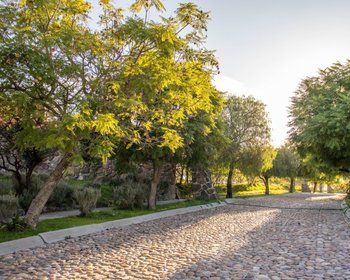 AltaVista Lot 15 – 1,168 m² | Luxury Lot in Eco-Conscious Community – San Miguel de Allende real estate photo 2