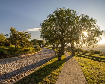 AltaVista Lot 14 – 1,511 m² | Large Luxury Homesite Near Centro – San Miguel de Allende real estate photo 4