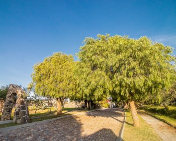 AltaVista Lot 13 – 1,642 m² | Estate Luxury Lot for Sale in San Miguel de Allende – San Miguel de Allende real estate photo 4