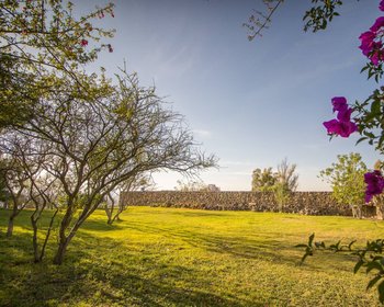 AltaVista Lot 13 – 1,642 m² | Estate Luxury Lot for Sale in San Miguel de Allende – San Miguel de Allende real estate photo 2