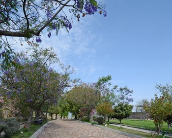 AltaVista Lot 3 – 1,043 m² | Luxury Lot Near Centro in San Miguel de Allende – San Miguel de Allende real estate photo 2