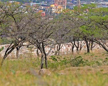 AltaVista Lot 3 – 1,043 m² | Luxury Lot Near Centro in San Miguel de Allende – San Miguel de Allende real estate photo 3
