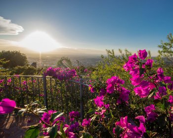 AltaVista Lot 2 – 1,025 m² | Large Homesite in Exclusive Gated Community – San Miguel de Allende real estate photo 3