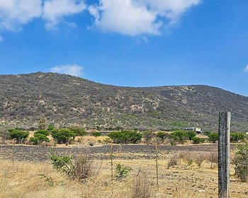 Lot "Ikigai" – San Miguel de Allende real estate photo 4