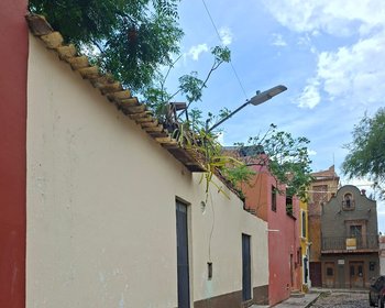Terreno Árboles – San Miguel de Allende real estate photo 2