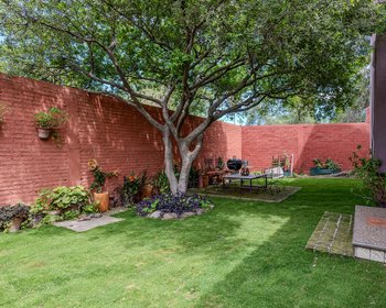Casa Malva – San Miguel de Allende real estate photo 4