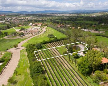 La Loma Lot 3 – San Miguel de Allende real estate photo 3