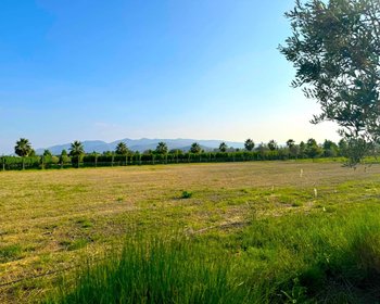 M2-L5 VIÑEDOS SAN LUCAS – San Miguel de Allende real estate photo 2