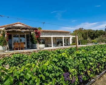 CASA VIÑEDO – San Miguel de Allende real estate photo 2