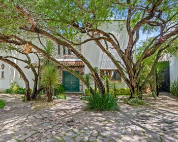 Huizaches Garden – San Miguel de Allende real estate photo 2