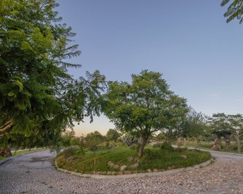 AltaVista Lot 19 – 1,053 m² | Luxury Homesite with Protected Views Near Centro – San Miguel de Allende real estate photo 3