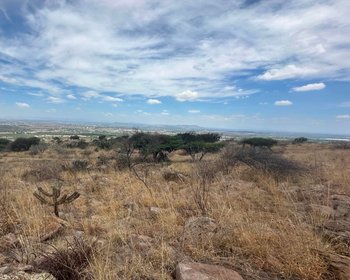 Santa Matilde Valley View – San Miguel de Allende real estate photo 3