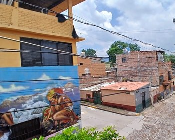 Fixer Upper Toro y Palmas – San Miguel de Allende real estate photo 1