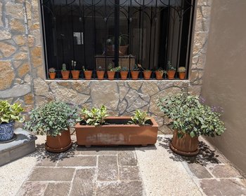 1959 Orizaba 112 – San Miguel de Allende real estate photo 4