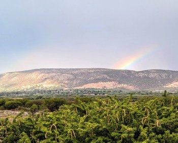 La Caridad, Country Lots – San Miguel de Allende real estate photo 1