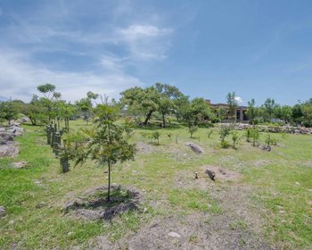 Dhanyavad – San Miguel de Allende real estate photo 3