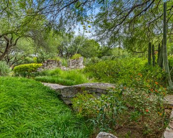 Casa Latona – San Miguel de Allende real estate photo 2
