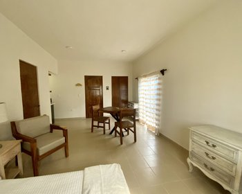 Charming Second-Floor Apartment Damian in Colonia Guadalupe with Air Conditioning – San Miguel de Allende real estate photo 1