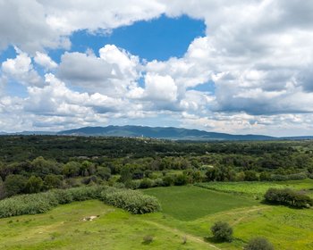 Predio Montecillo de Nieto – San Miguel de Allende real estate photo 2