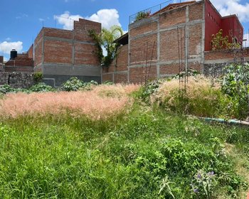Terreno en "Ignacio Cruces" – San Miguel de Allende real estate photo 3