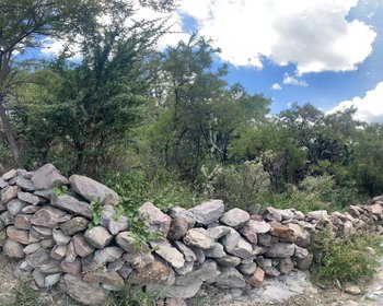 Terreno en Puerto de Sosa – San Miguel de Allende real estate photo 3