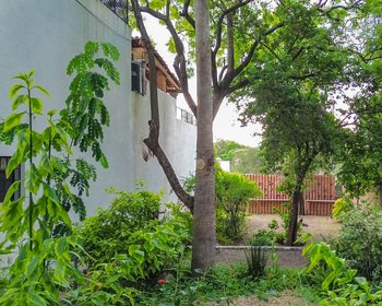 TERRENO HIDALGO – San Miguel de Allende real estate photo 2