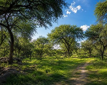 Lote La Giraldilla – San Miguel de Allende real estate photo 3