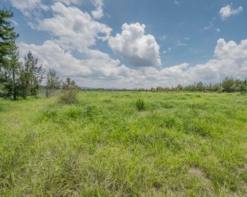 Country Living Near SMA – San Miguel de Allende real estate photo 3