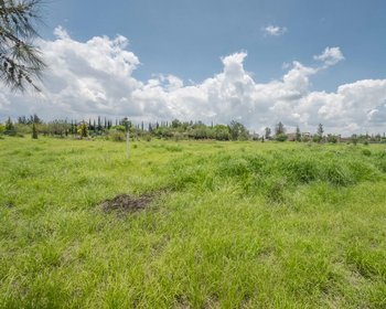 Country Living Near SMA – San Miguel de Allende real estate photo 4