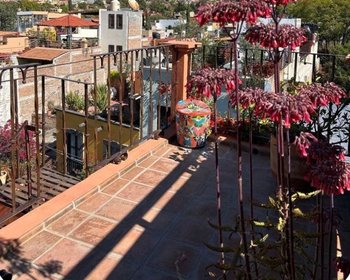 Casa Bebe – San Miguel de Allende real estate photo 4