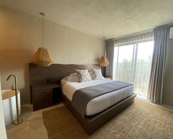Villa Vinedo – San Miguel de Allende real estate photo 3