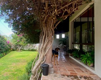 Casa Jardin – San Miguel de Allende real estate photo 2