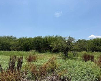 LOTE 2 SIGNATURE FRENTE A LA PRESA EN VENTA – San Miguel de Allende real estate photo 4