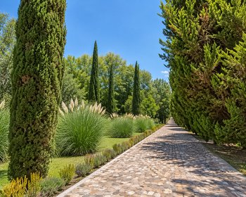 Terreno Ideal en La Santísima – San Miguel de Allende real estate photo 1
