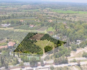 Terreno Ideal en La Santísima – San Miguel de Allende real estate photo 2