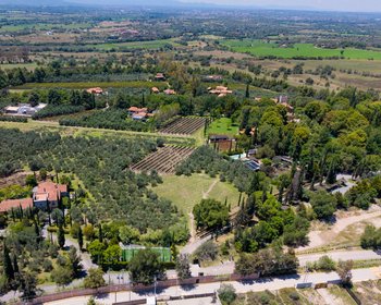 Terreno Ideal en La Santísima – San Miguel de Allende real estate photo 3