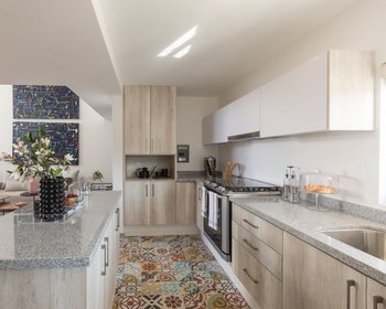Oleo Picasso 8 – San Miguel de Allende real estate photo 4