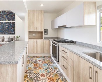 Oleo Picasso 8 – San Miguel de Allende real estate photo 2