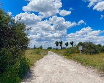 Lote Xote – San Miguel de Allende real estate photo 3