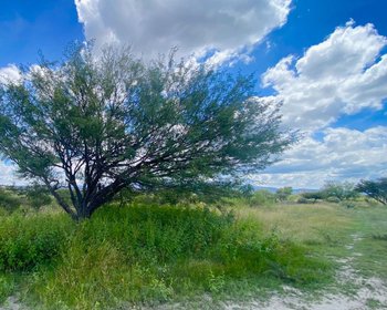 Lote Xote – San Miguel de Allende real estate photo 2