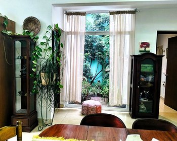  – San Miguel de Allende real estate photo 4
