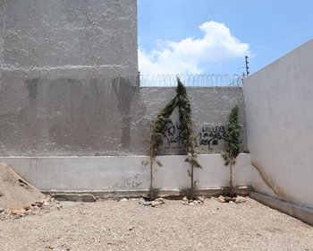 Duplex Alameda Laurel – San Miguel de Allende real estate photo 1