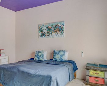 Casa Alameda – San Miguel de Allende real estate photo 4