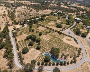 L3 SENDEROS – San Miguel de Allende real estate photo 4