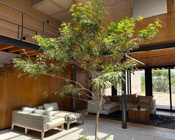 Villas Muros 10 PRE-SALE – San Miguel de Allende real estate photo 3